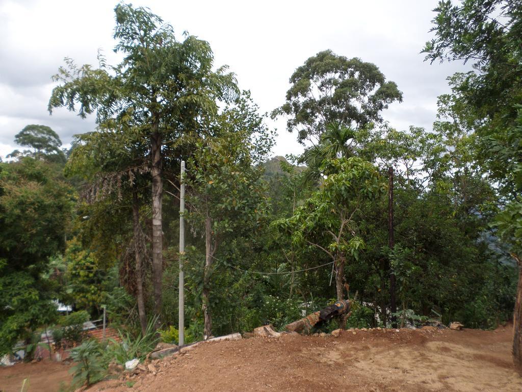 Jaye Homestay Ella Ngoại thất bức ảnh