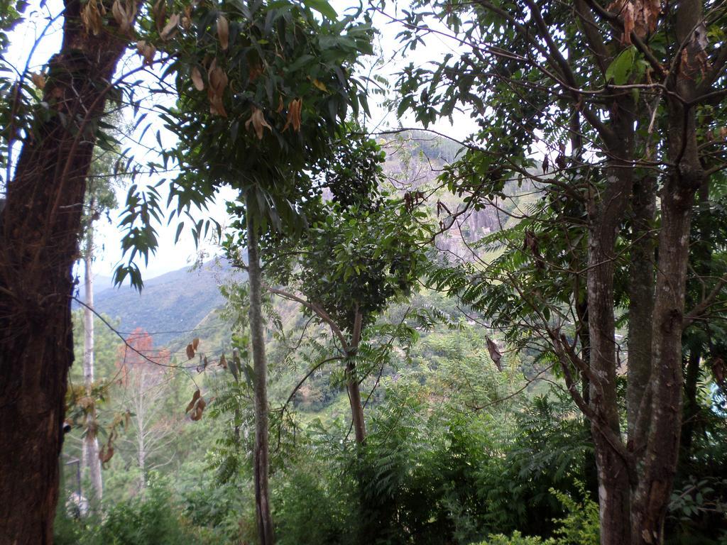 Jaye Homestay Ella Ngoại thất bức ảnh